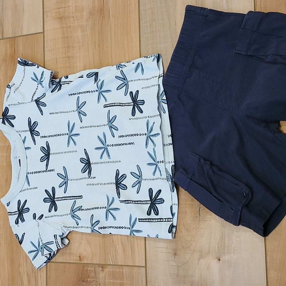 2T toddler palm tree outfit Tea Collection